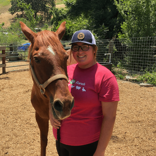 A woman standing next to a horse in a pen.